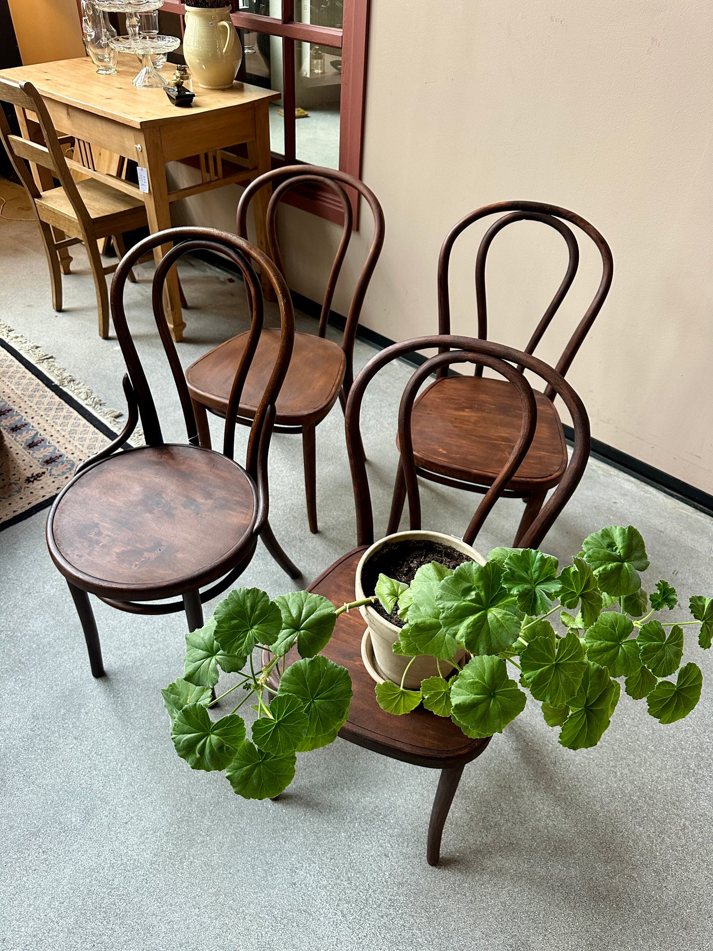 4 st stolar med en blomma på.