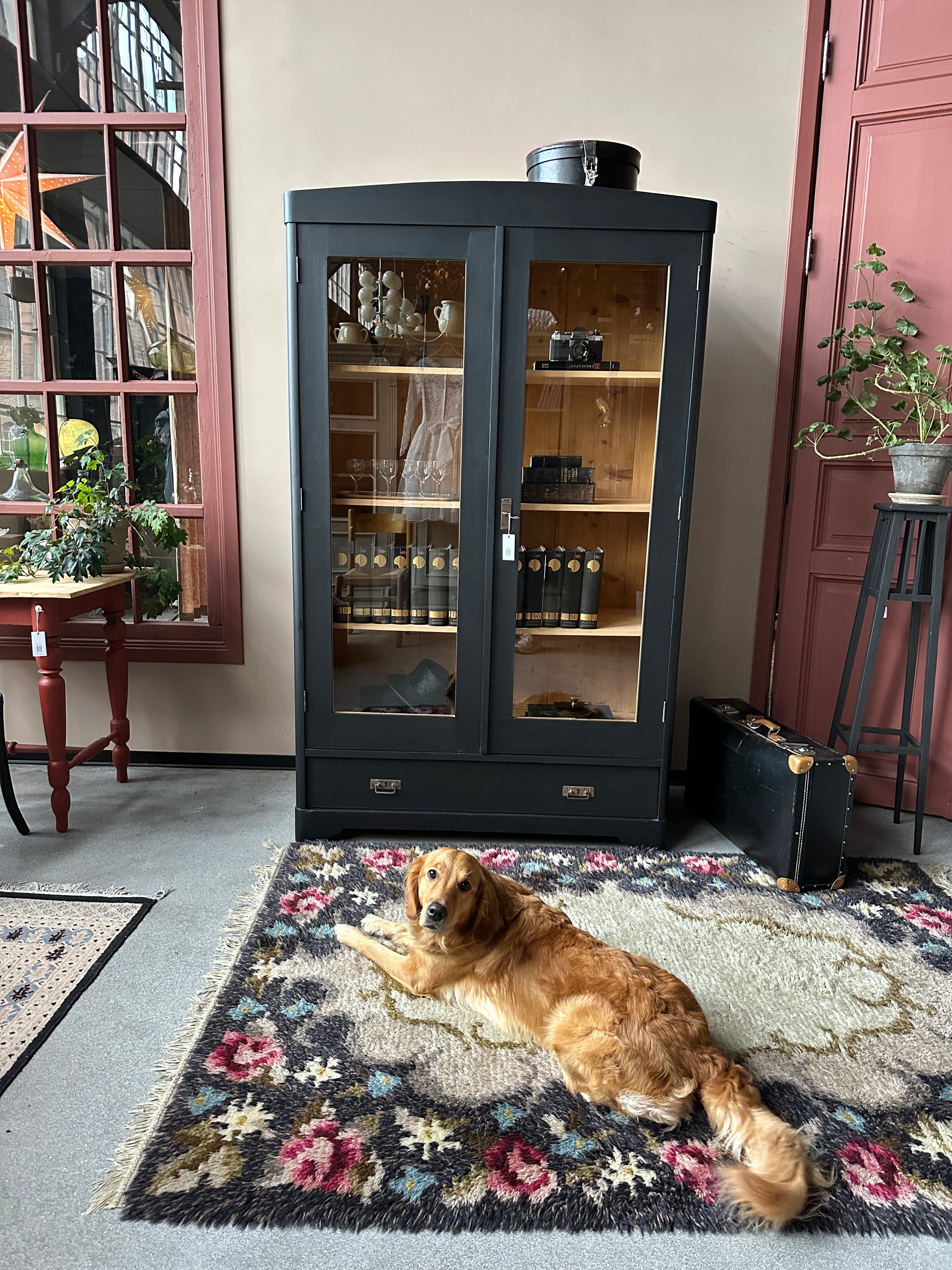 Ett gammalt, vackert vitrinskåp med rundad överkant.Skåpet har två glasdörrar. 