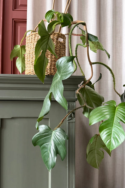 Ett gammalt vackert linneskåp med en högerhängd dörr och härliga former. 